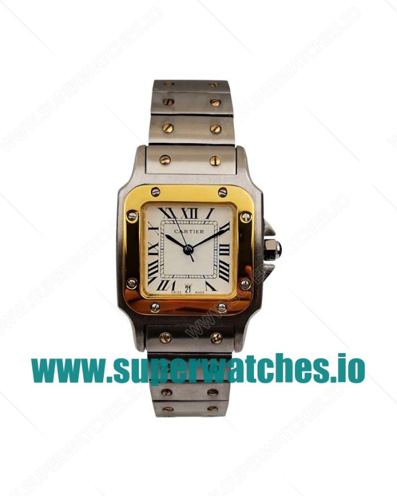 Cartier Replica Santos W20052C4 - 29 MM